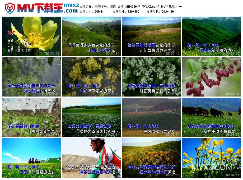 王璐-神往_国语_民歌_MB405947